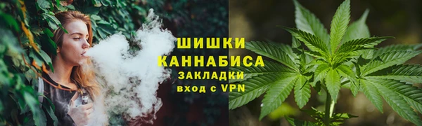 шишки Балабаново