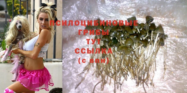 шишки Балабаново