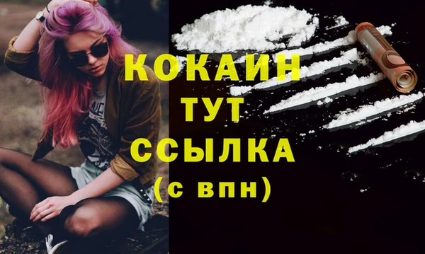 спиды Аркадак