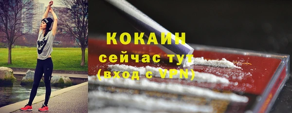 шишки Балабаново